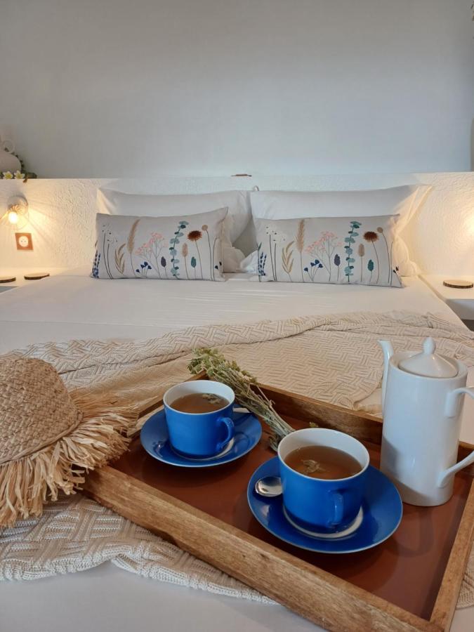 Philoxenia, Maison Et Table D'Hotes 라 살린 레 뱅 외부 사진